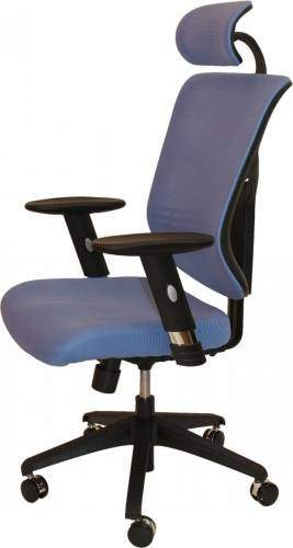 Ортопедическое кресло Expert Star Euro Синее